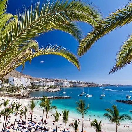 Apartment Seaview Oasis: Puerto Rico With Pool And Parking Puerto Rico (Gran Canaria)